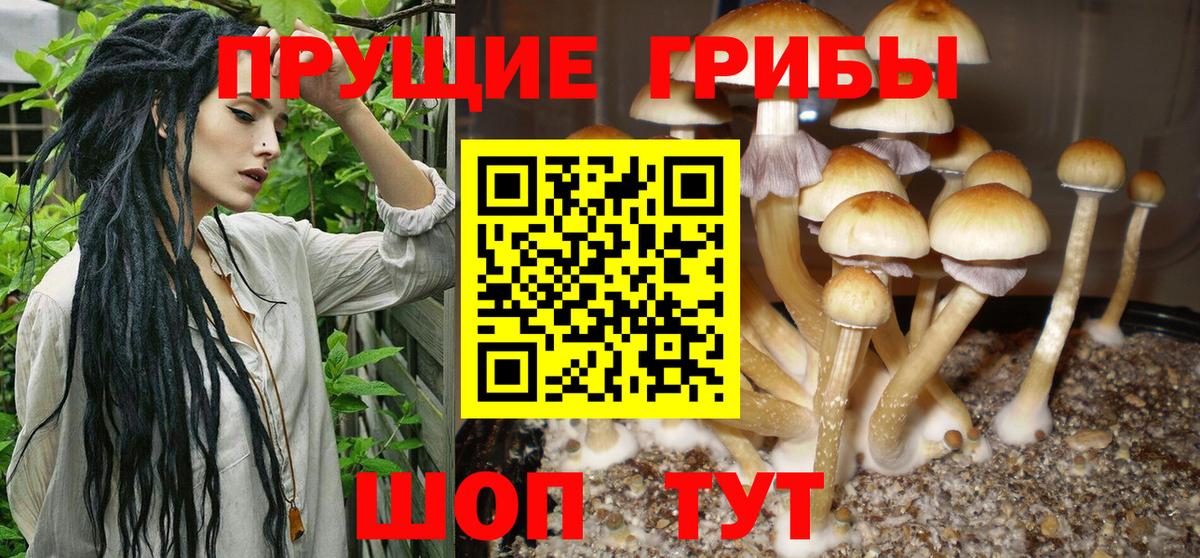 Галлюциногенные грибы MAGIC MUSHROOMS Богданович