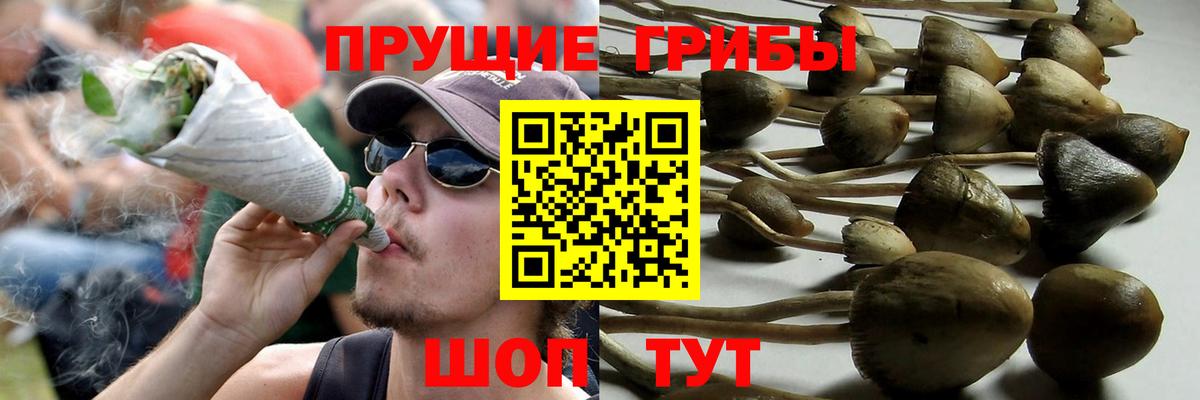 Богданович  Псилоцибиновые грибы ЛСД  Вход с VPN 