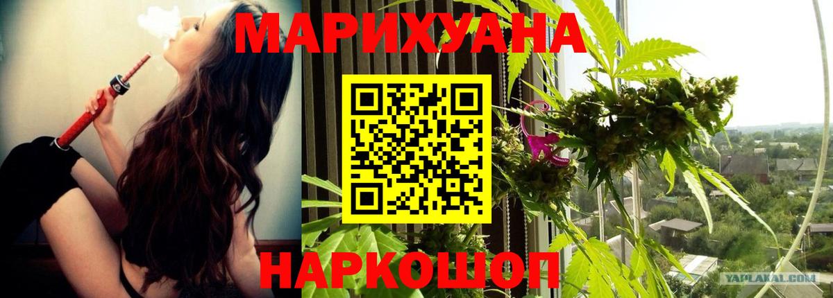 Марихуана план  Каннабис ГИДРОПОН  Богданович  Конопля AK-47  Вход с VPN  Марихуана Amnesia 